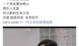 日麻皮视频,揭秘日本麻将的魅力与技巧